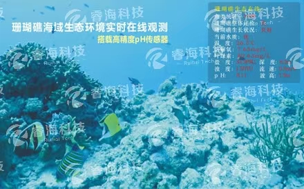 海洋觀測(cè)系統(tǒng)：水下波浪在線(xiàn)觀測(cè)系統(tǒng)